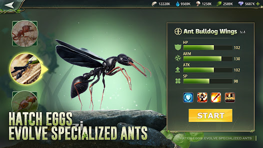 Screenshot 23