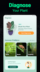 Screenshot 32