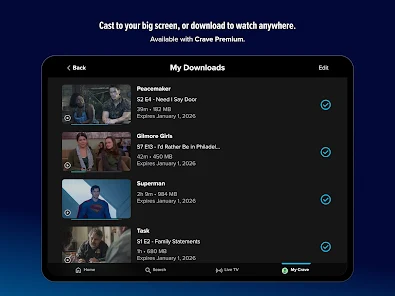 Screenshot 13