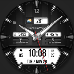 WFP 160 Classic watch face