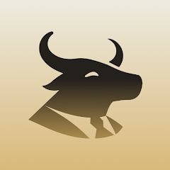Simply Wall St: Stock Analysis