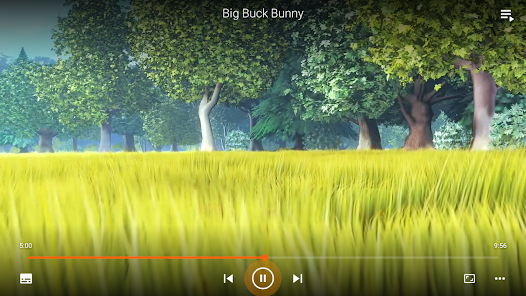 Screenshot 29