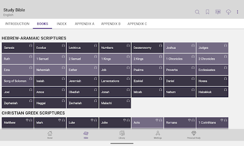 Screenshot 13