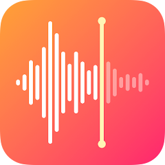 Voice Recorder & Voice Memos