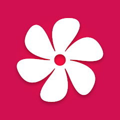 Galerie: Fotogalerie & Album