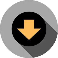 Video Downloader