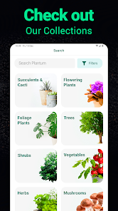 Screenshot 30