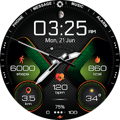 H310 Artistic Hybrid Watch