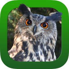 Heintges Jagdprüfung 2026