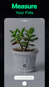 Screenshot 29