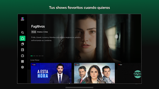 Screenshot 19
