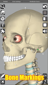 Screenshot 24