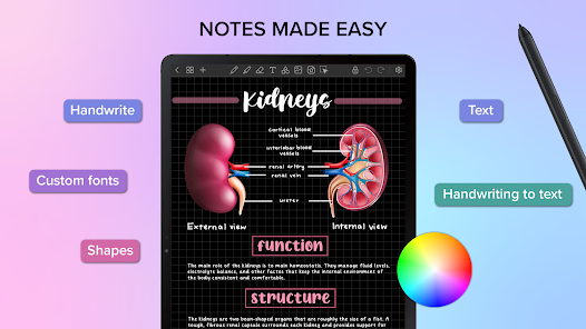 Screenshot 13