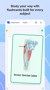 Quizlet: More than Flashcards screenshot 2